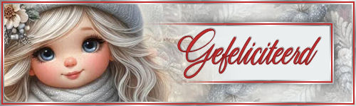winter 12-gefelicit…